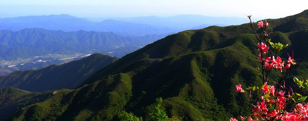 大围山国家森林公园门票,大围山国家森林公园门票预订