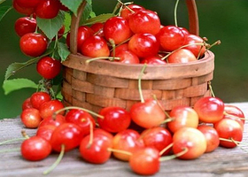 海益生态果树采摘园