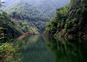 碧湖潭森林公园
