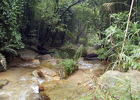 王子山森林公园