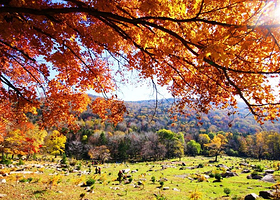 舒兰大秃顶子森林度假景区