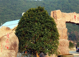 碧水湾风景旅游度假区