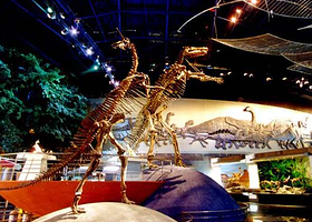 恐龙科普巡回展