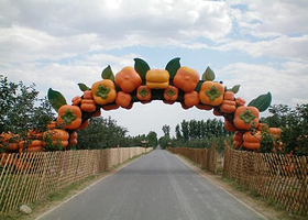 房山大峪沟村柿子采摘