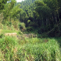 梅岭紫清山