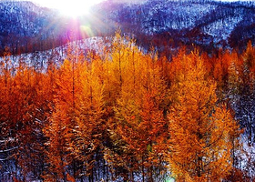 亚布力国家森林公园