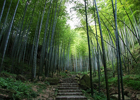 宜兴竹海楼外楼农庄