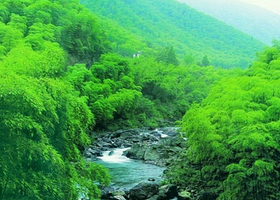 浙东大竹海漂流