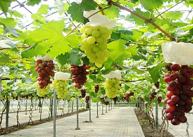 上海马陆主题公园