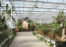 君利生态温泉庄园