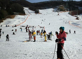 阳智松林滑雪度假村