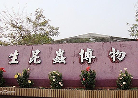 木生昆虫研究所