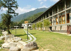 超然派皮特博野战