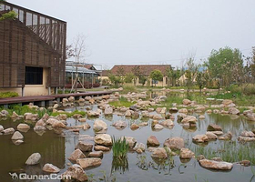 崇明中新农业泰生示范农场