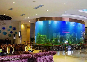 乙水湾温泉水疗