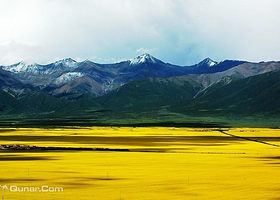 循化撒拉族绿色家园