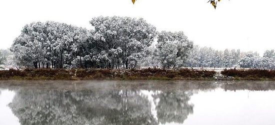 宾县二龙山旅游风景区门票,宾县二龙山旅游风