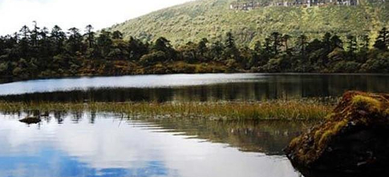 老君山九十九龙潭景区门票,老君山九十九龙潭