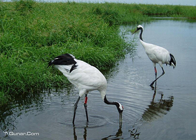 板仓自然保护区