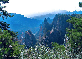 方山国家森林公园
