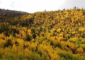红拉山自然保护区