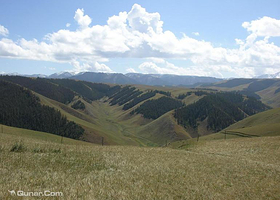 巴隆国际狩猎场