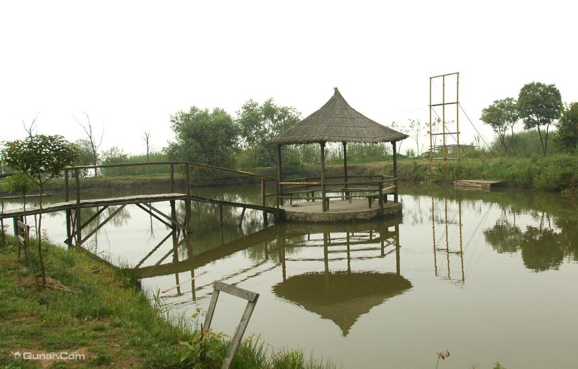 龙头湾野外运动场