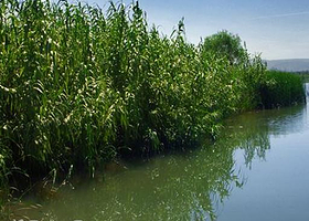 泾渭湿地自然保护区