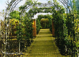 延庆采摘度假园苏庄