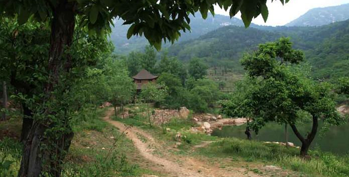 牛山,又名全牛山,郁葱山,位于山东省肥城市北部,距新城11.5公里,面积3000公顷,主峰穆柯寨海拔524米,整座山森林茂密,林相整齐,景点众多。整座山景可谓山清水秀、林茂境仙;远眺峰峦如聚、峭壁若屏,近观苍松叠翠柏、瘦藤攀古树,共有各类植物700多种,动物园150多种。 主峰穆柯寨位于海拔524米的山巅上,现存石砌寨3600多米,高大的石墙上筑有掩体,易守难攻,是典型的古代军事防御工程,相传是宋代巾帼英雄穆桂英屯兵处;陶山摩崖石刻古朴苍劲,七十二洞穴曲径通幽,石雕佛像千姿百态;宋大中祥符元年(公元10