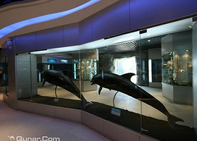 水生野生动物救治中心