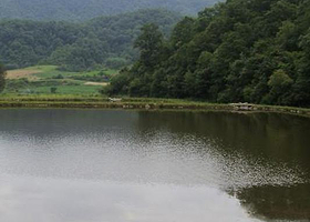 李子园森林公园