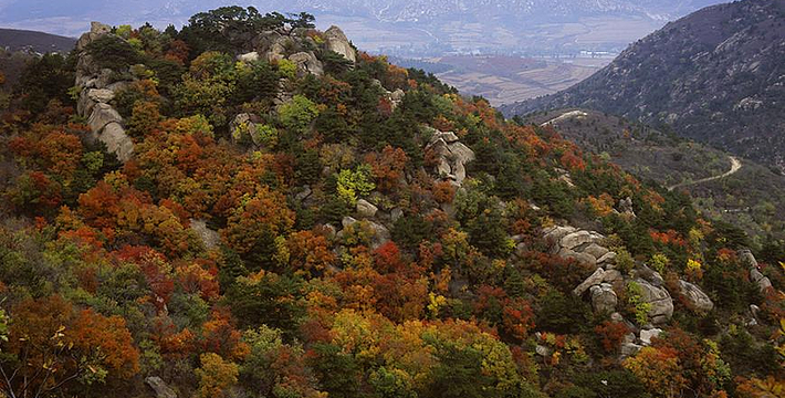 辽宁gdp倒_明天,中国将给世界一个答案(2)