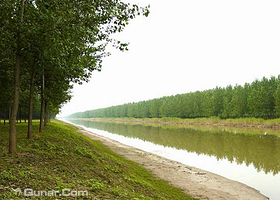 万亩湖滨生态林