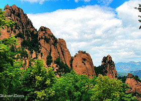 茅荆坝原始森林谷