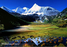 尼果自然保护区