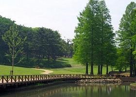 马鞍山国家森林公园景区