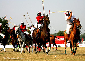 阳光时代马球俱乐部