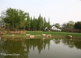 城市绿谷体育场