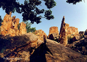 骆驼山海滨森林公园