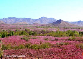 圣地桃园王家庄景区
