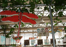 儿童少年地子自然体验基地