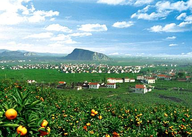 橘园生态观光园