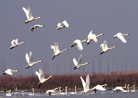 武昌湖国际生态旅游度假村