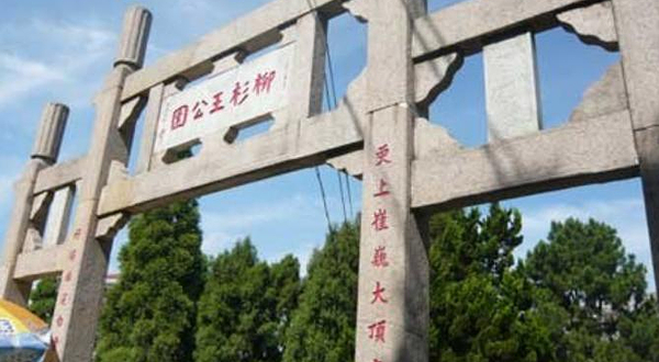 柳杉王公园