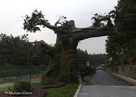 天蓝地绿生态旅游农庄