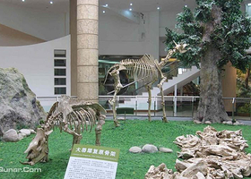 古生物化石博物馆