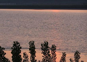 黄河展区生态园