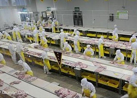 小肥羊食品工业旅游区