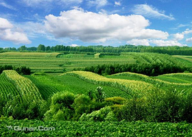 五岭峰生态旅游区